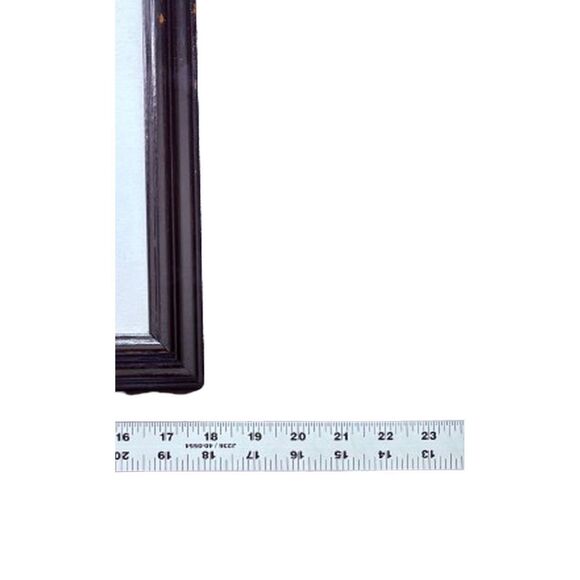 Parrot Picture Signed by Retta Colorful Professionally Matted and Framed - Picture 8 of 9